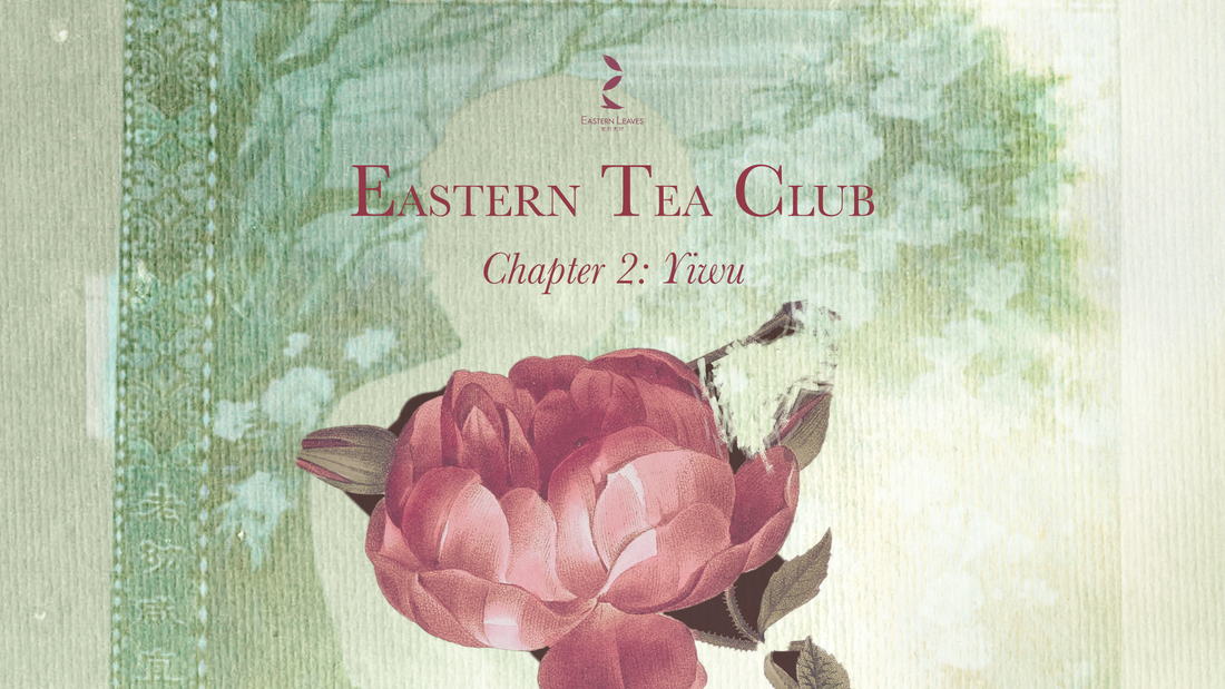 Eastern Tea Club, Chapter 2: Yìwǔ 易武