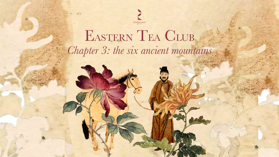 Eastern Tea Club, Chapter 3: Six Ancient Tea Mountains 古六大茶山