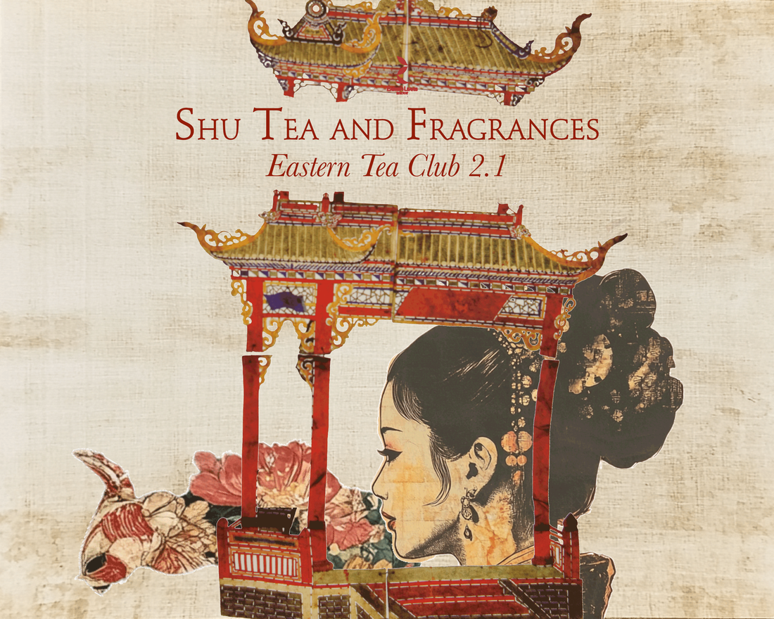 Tea Club - Season 2, Chapter 1: Shupu 熟普洱