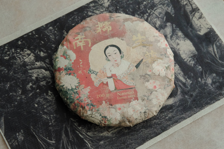 pu'er sheng pu from a Yunnanese forest on mountain Nannuo, hand crafted, from Chinese tea farmer, pressed cake