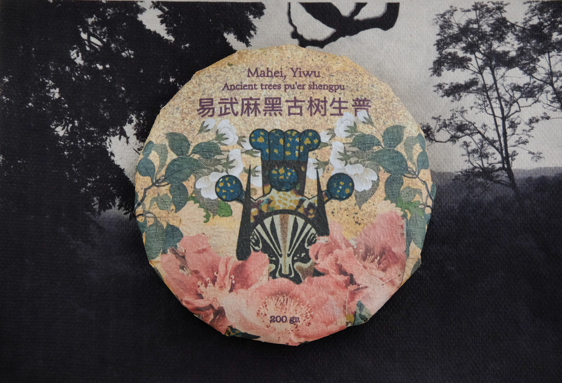 Pu'er sheng pu tea from Mahei village, Yiwu, in Yunna, China, crafted by premium tea farmer