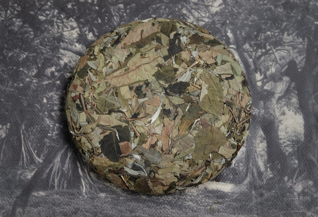 Yueguangbai white tea from Yunnan, pressed cake, big leaf, Chinese tea, moonlight tea