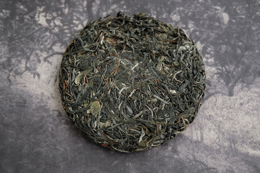 Ancient trees pu'er tea Shengpu, Lunan Sheng Pu'er tea, gushu Sheng pu'er, 2024 Sheng pu'er, Yunnan compressed puher tea cake, leaves detail