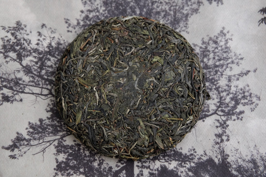 pu'er sheng pu from a Yunnanese forest on mountain Nannuo, hand crafted, from Chinese tea farmer, pressed cake, high quality tea