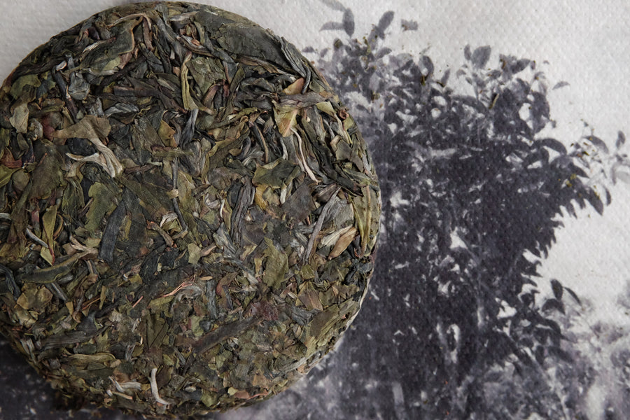 Laobanzhang shengpu pu'er tea, ancient trees , from Yunnan, China, by a certified farmer