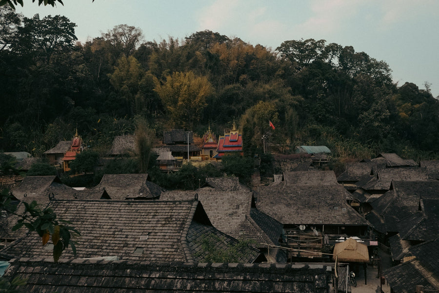 Tea Club - Season 2, Chapter 1: Shupu 熟普洱