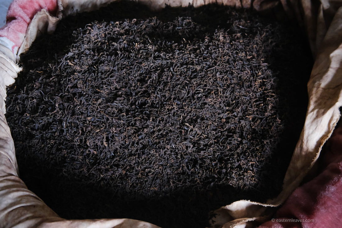 Tea Club - Season 2, Chapter 1: Shupu 熟普洱