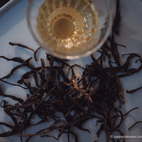 Pu'er shengpu Chinese tea loose-leaf vintage and aged, 2017 spring harvest, from ancient trees forest, yellow brew liquor in glass cup, golden buds, from Nannuo in Yunnan