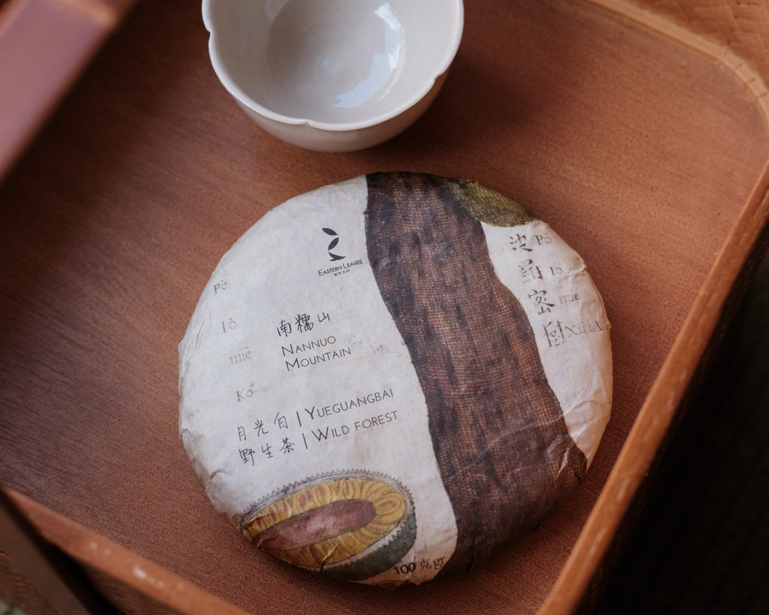 2020 Yueguangbai White Tea, Wild Forest stone-pressed cake