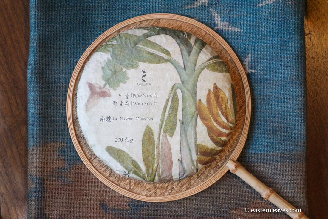 Pu'er shengpu in forest in pressed cake, from Yunnan, China, 2021 spring harvest vintage, sustainable