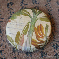 Pu'er shengpu in forest in pressed cake, from Yunnan, China, 2021 spring harvest vintage, sustainable